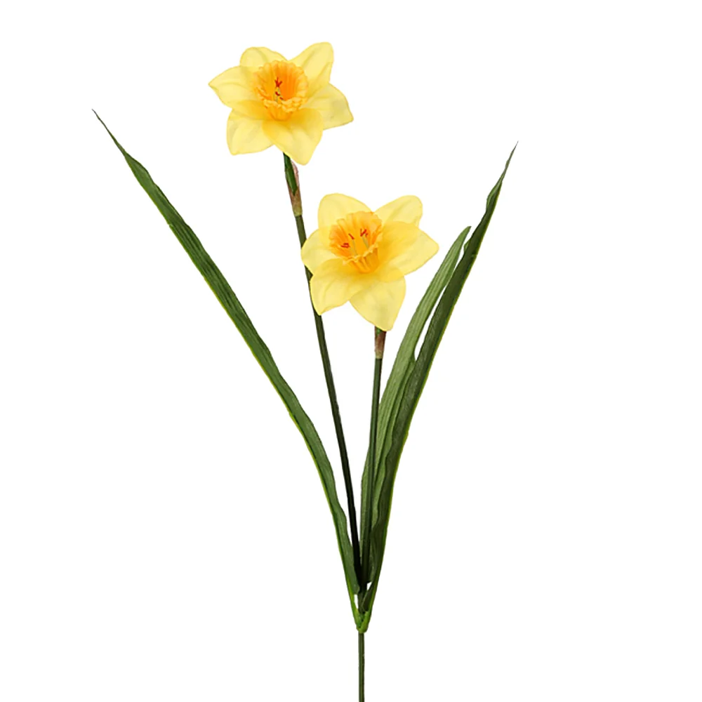 NARCISSUS sárga mű nárcisz 66 cm