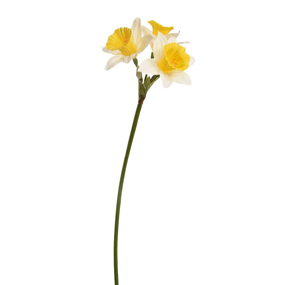 NARCISSUS sárga mű nárcisz 75 cm