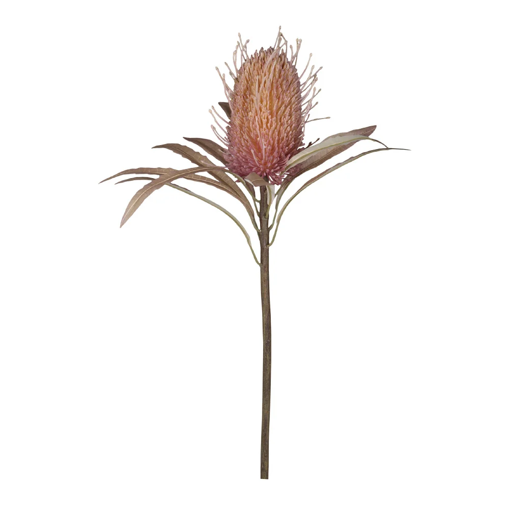 PROTEA szárított hatású protea művirág 60 cm