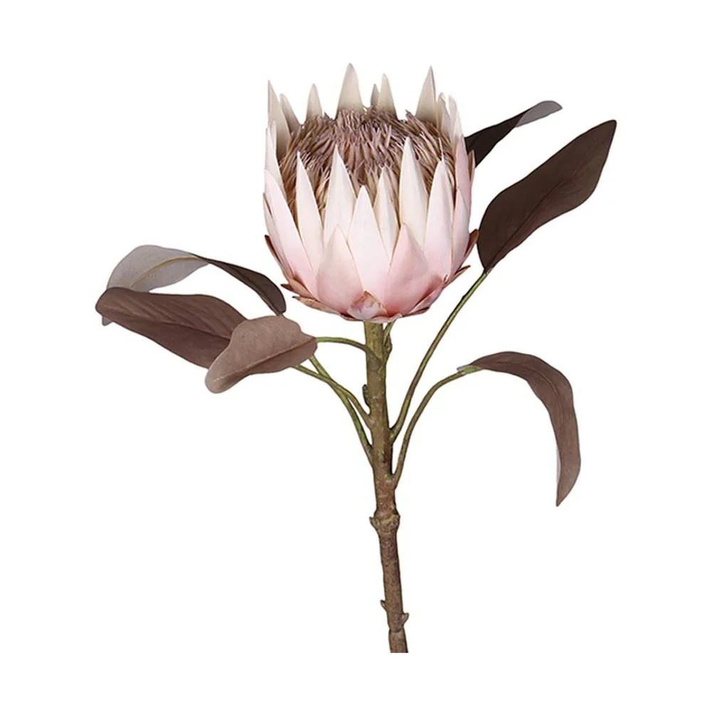 PROTEA szárított hatású protea művirág 66 cm