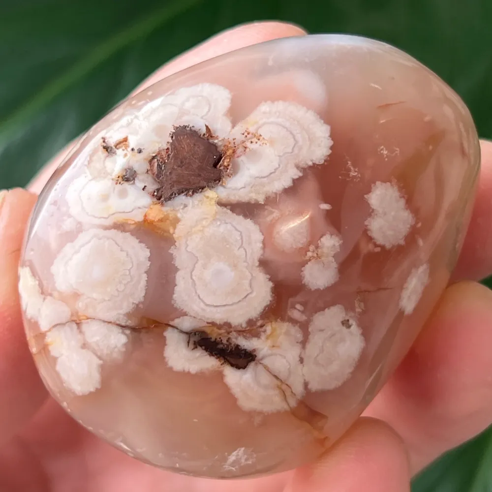 Palmstone vörös korallvirág achát m30
