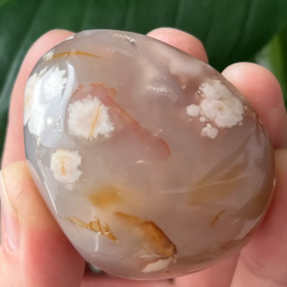 Palmstone vörös korallvirág achát m30