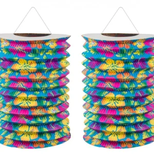 FM 2 db Lampion