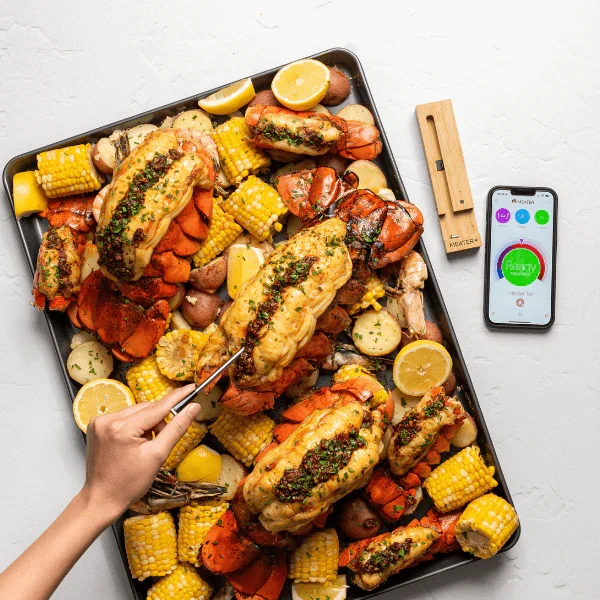MEATER Plus - Okos maghőmérő 275°C