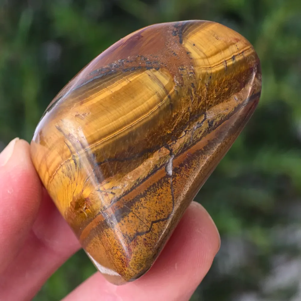 Tigrisszem (Priska Africa) modell 2