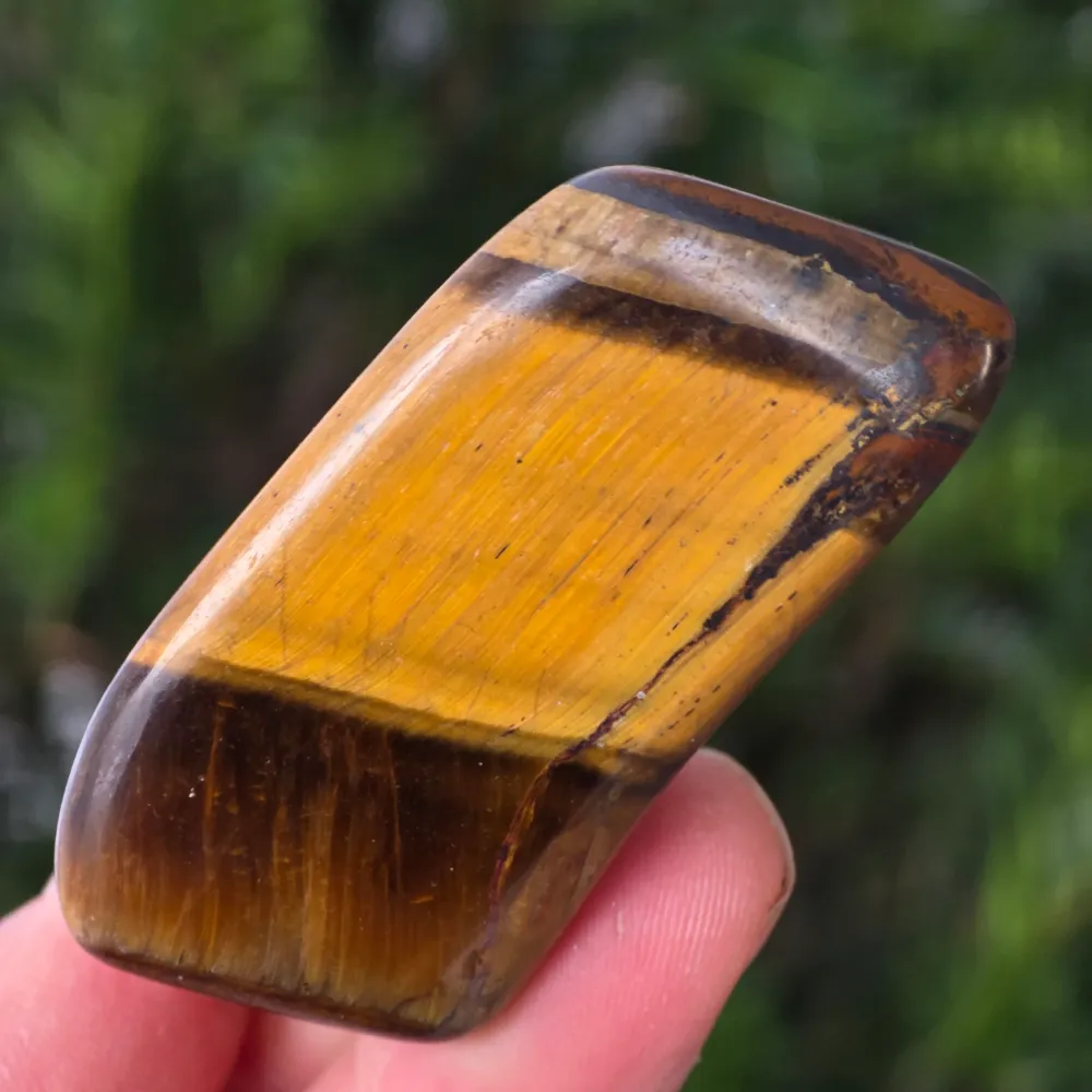 Tigrisszem (Priska Africa) modell 1