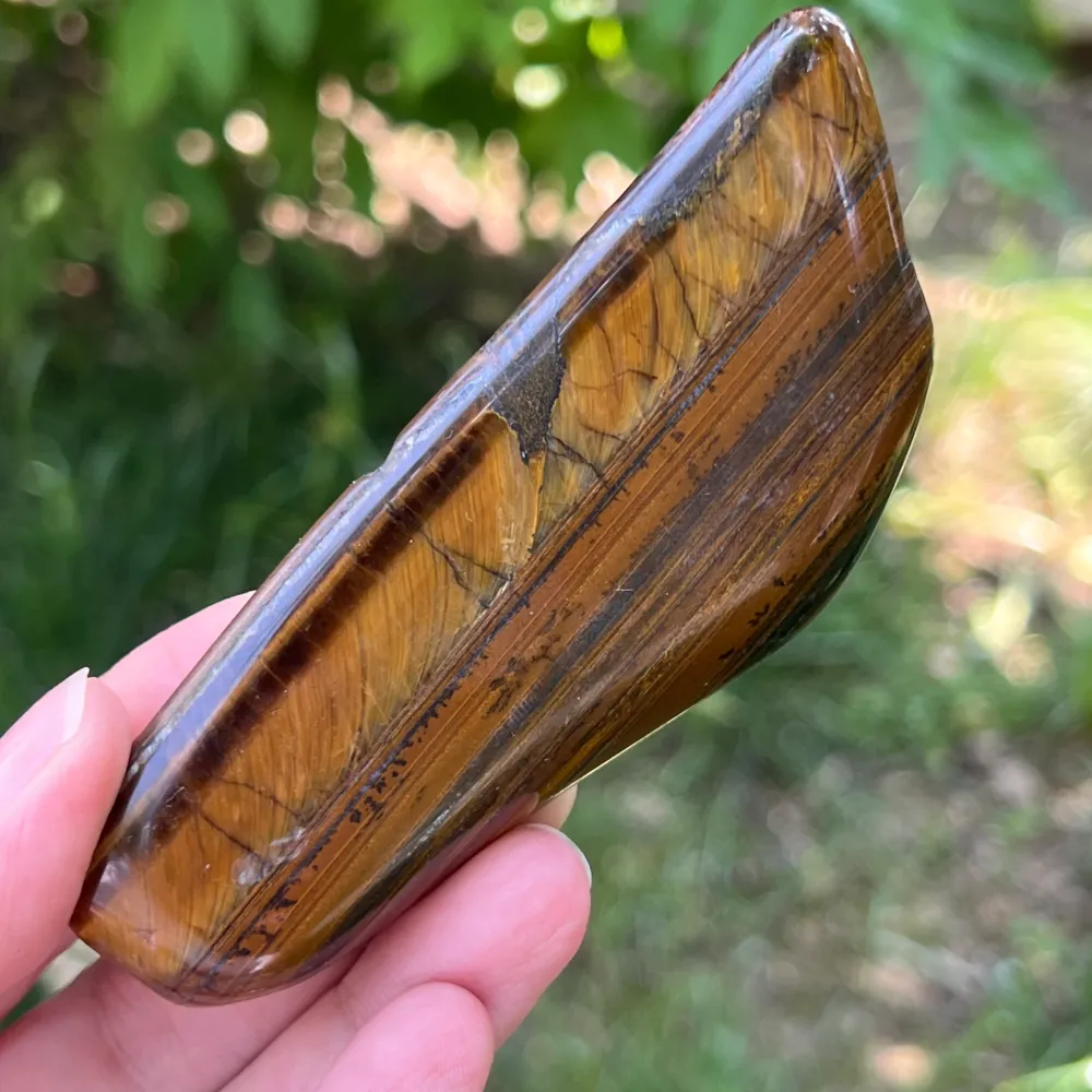 Tigrisszem (Priska Africa) modell 11