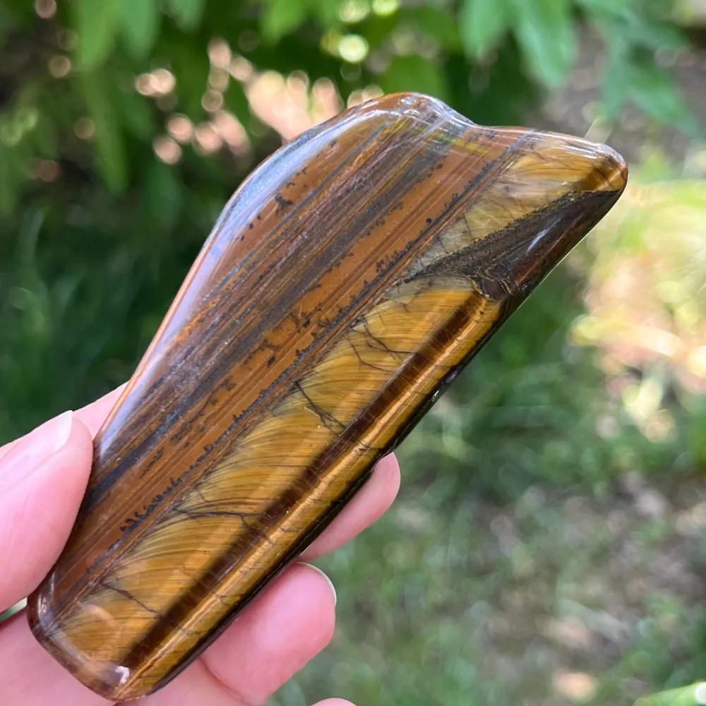 Tigrisszem (Priska Africa) modell 11