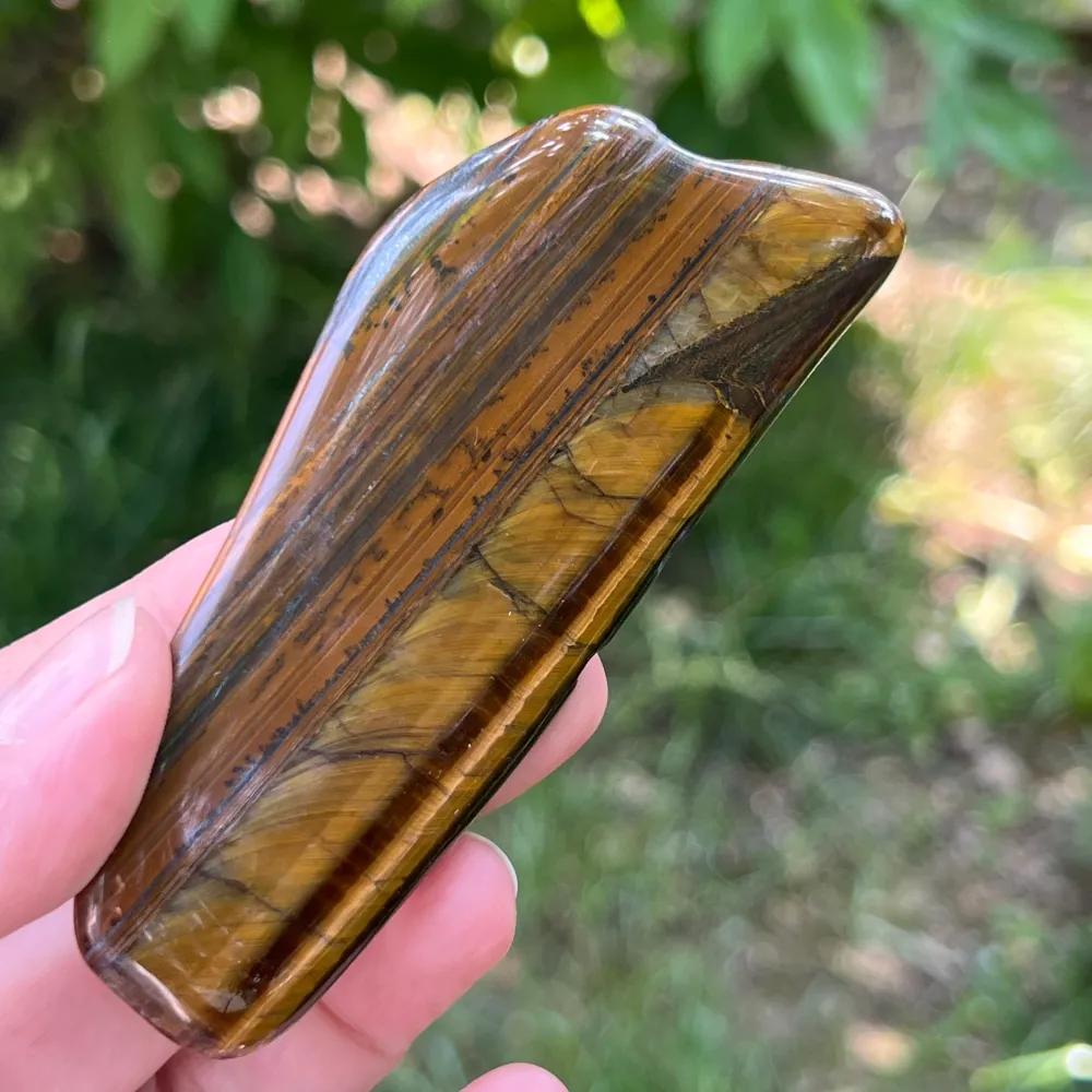 Tigrisszem (Priska Africa) modell 11