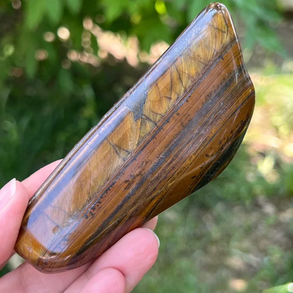 Tigrisszem (Priska Africa) modell 11