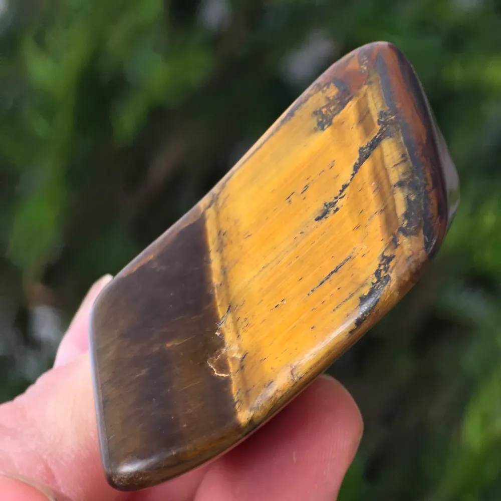 Tigrisszem (Priska Africa) modell 1