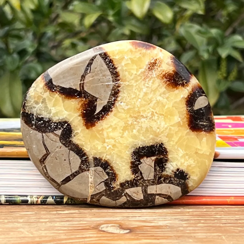Slice septaria m12
