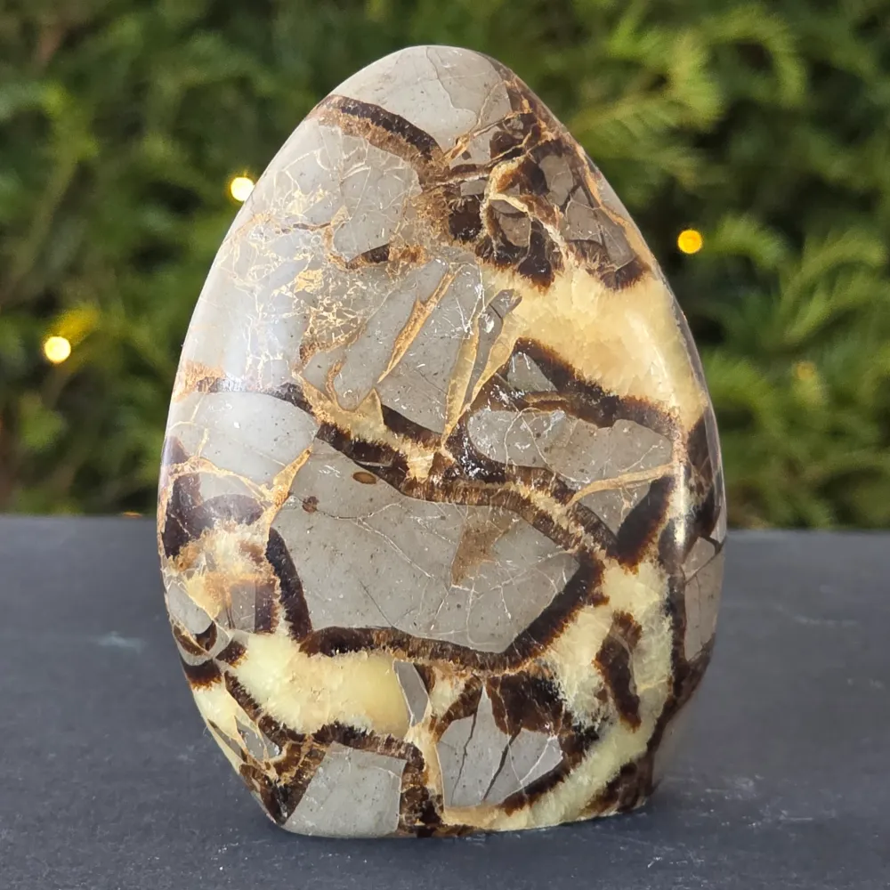 Szabadforma Septaria szerkezet | Model 7