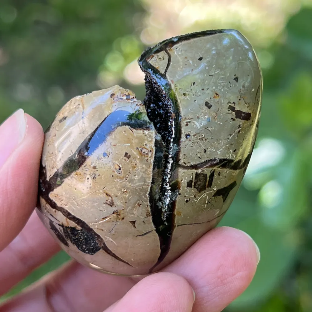 Septaria tojás Madagaszkárról mini, sárkánykő, 5-ös modell